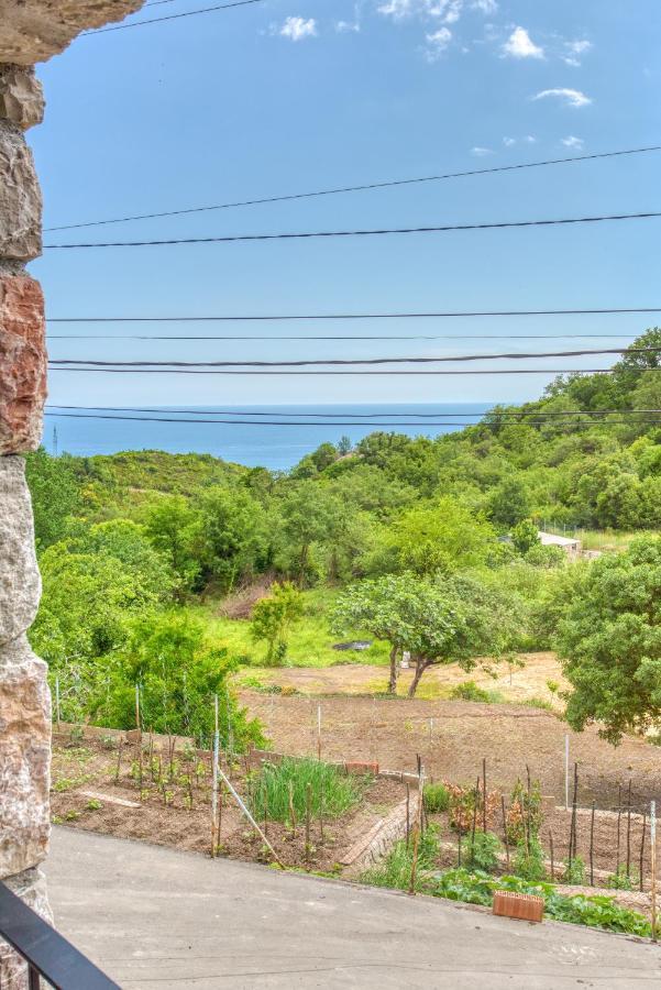 Vila Stari Mlin Ivanovici Esterno foto