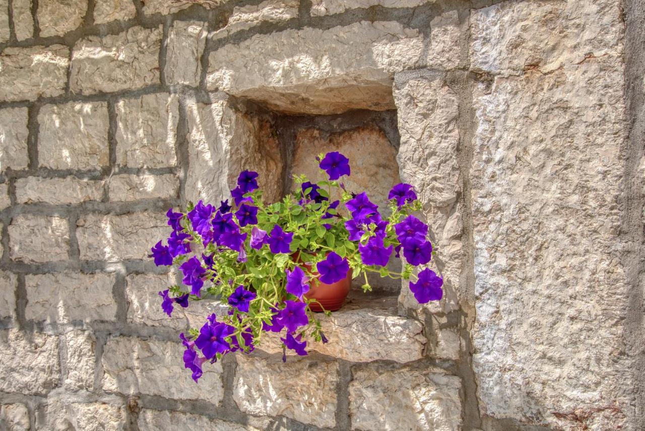 Vila Stari Mlin Ivanovici Esterno foto